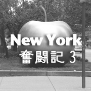 ニューヨーク奮闘記3